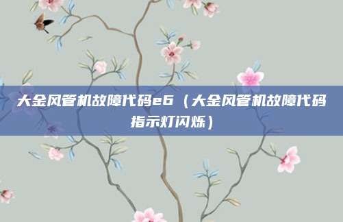 大金风管机故障代码e6（大金风管机故障代码指示灯闪烁）