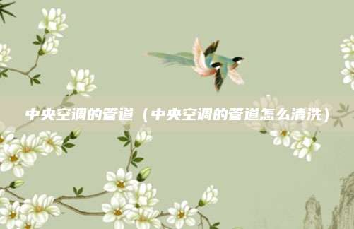 中央空调的管道（中央空调的管道怎么清洗）