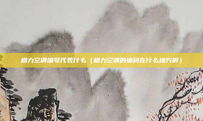 格力空调编号代表什么（格力空调的编码在什么地方啊）