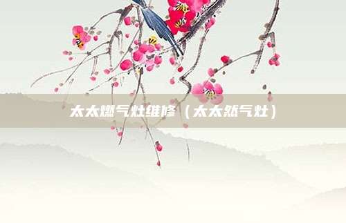 太太燃气灶维修（太太然气灶）