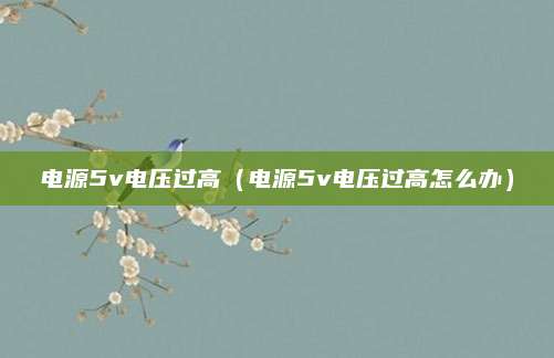 电源5v电压过高（电源5v电压过高怎么办）
