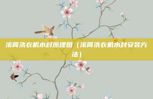 滚筒洗衣机水封原理图（滚筒洗衣机水封安装方法）
