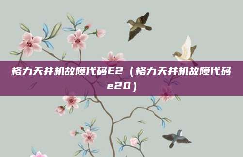 格力天井机故障代码E2(格力天井机故障代码e20)