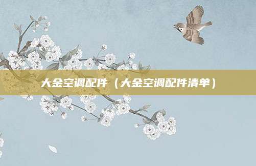 大金空调配件（大金空调配件清单）