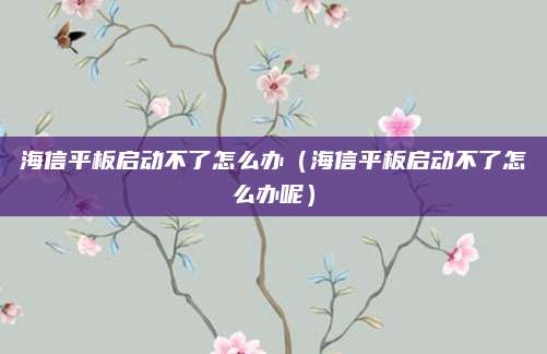 海信平板启动不了怎么办（海信平板启动不了怎么办呢）