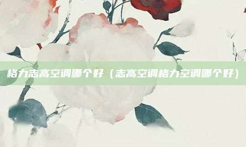 格力志高空调哪个好(志高空调格力空调哪个好)
