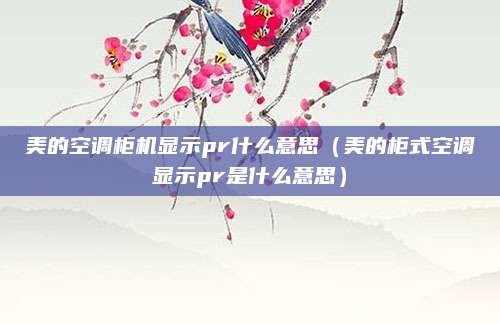 美的空调柜机显示pr什么意思(美的柜式空调显示pr是什么意思)