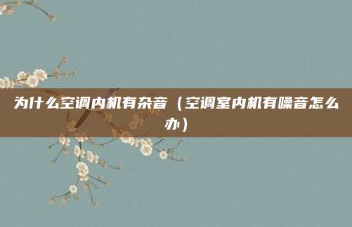 为什么空调内机有杂音(空调室内机有噪音怎么办)
