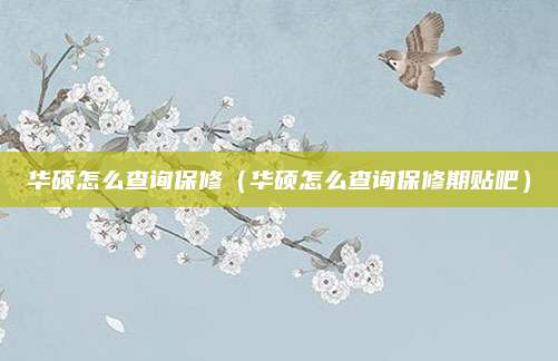 华硕怎么查询保修（华硕怎么查询保修期贴吧）