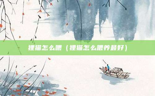 狸猫怎么喂（狸猫怎么喂养最好）