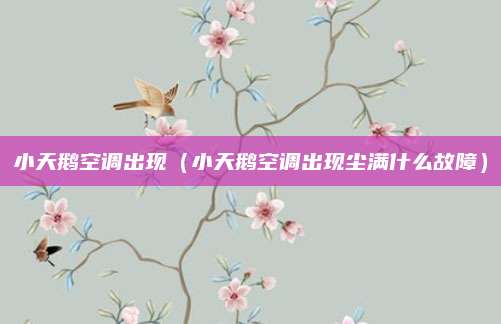 小天鹅空调出现(小天鹅空调出现尘满什么故障)