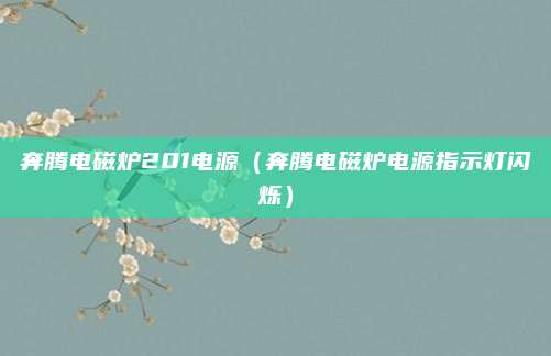 奔腾电磁炉201电源(奔腾电磁炉电源指示灯闪烁)