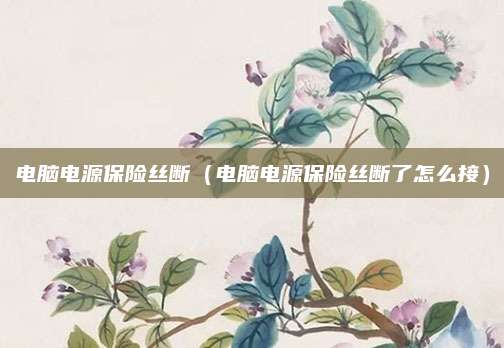 电脑电源保险丝断（电脑电源保险丝断了怎么接）