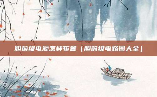 胆前级电源怎样布置（胆前级电路图大全）