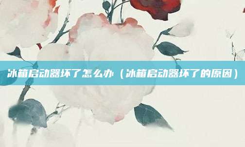 冰箱启动器坏了怎么办（冰箱启动器坏了的原因）