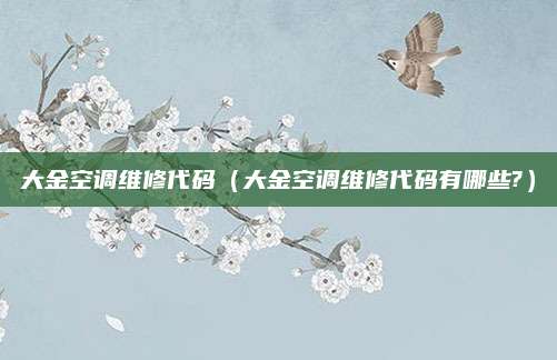 大金空调维修代码（大金空调维修代码有哪些?）