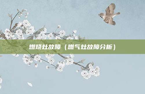 燃烧灶故障（燃气灶故障分析）