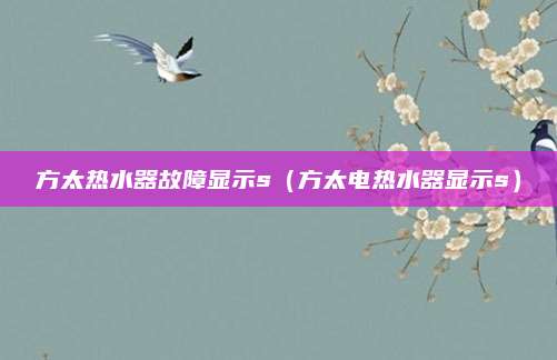 方太热水器故障显示s(方太电热水器显示s)