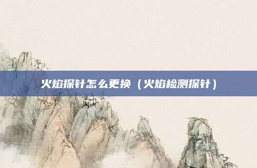 火焰探针怎么更换(火焰检测探针)