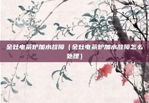金灶电茶炉加水故障（金灶电茶炉加水故障怎么处理）