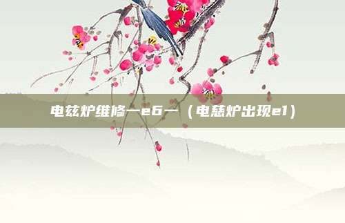 电兹炉维修一e6一（电慈炉出现e1）