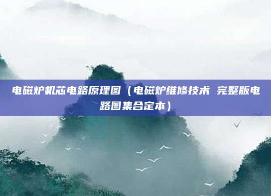 电磁炉机芯电路原理图（电磁炉维修技术 完整版电路图集合定本）