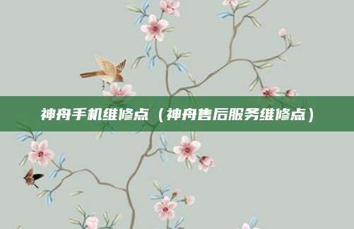 神舟手机维修点（神舟售后服务维修点）