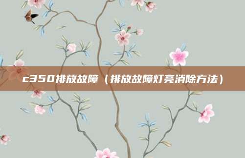 c350排放故障(排放故障灯亮消除方法)