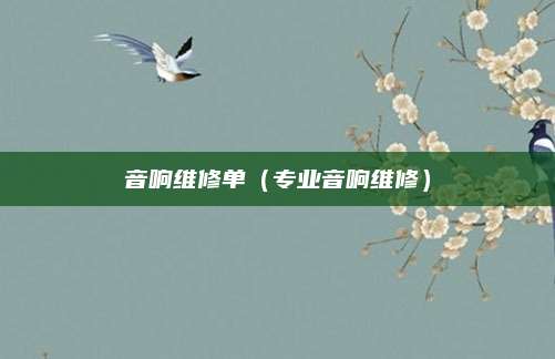 音响维修单(专业音响维修)