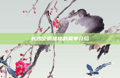 长沙空调维修的简单介绍