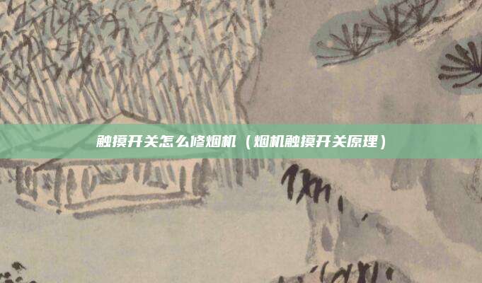 触摸开关怎么修烟机（烟机触摸开关原理）
