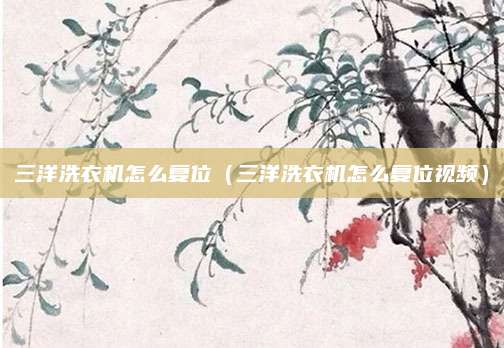 三洋洗衣机怎么复位（三洋洗衣机怎么复位视频）