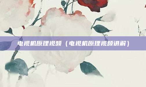 电视机原理视频（电视机原理视频讲解）