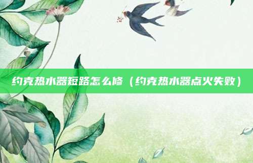 约克热水器短路怎么修（约克热水器点火失败）