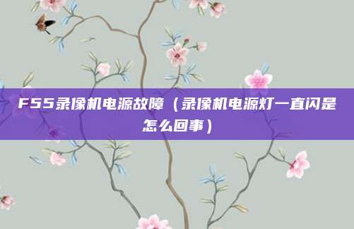 F55录像机电源故障(录像机电源灯一直闪是怎么回事)