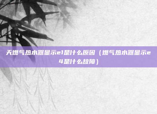 天燃气热水器显示e1是什么原因(燃气热水器显示e4是什么故障)