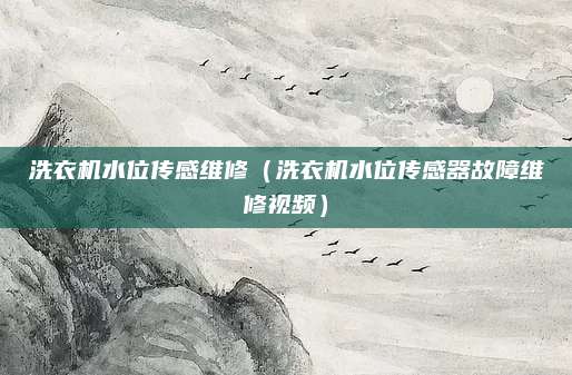 洗衣机水位传感维修（洗衣机水位传感器故障维修视频）