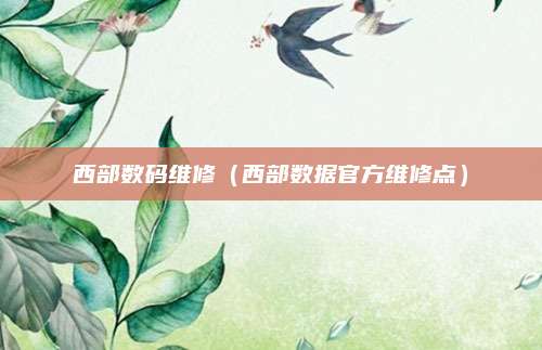 西部数码维修（西部数据官方维修点）