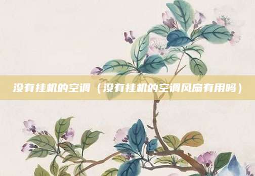 没有挂机的空调（没有挂机的空调风扇有用吗）