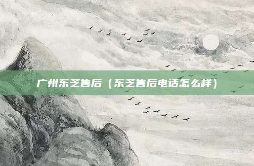 广州东芝售后（东芝售后电话怎么样）