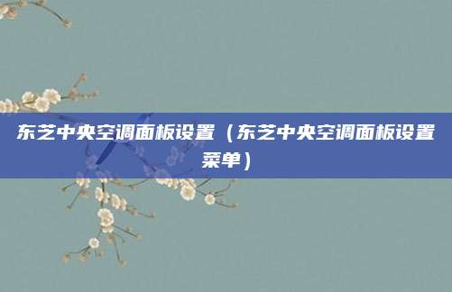 东芝中央空调面板设置（东芝中央空调面板设置菜单）