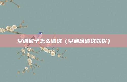 空调网子怎么清洗（空调网清洗妙招）