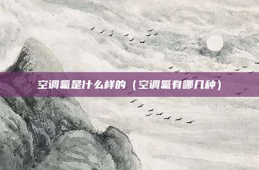 空调氟是什么样的（空调氟有哪几种）