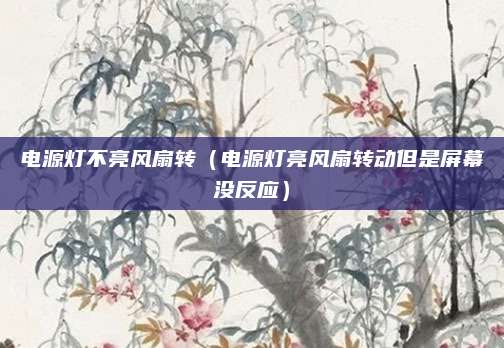 电源灯不亮风扇转（电源灯亮风扇转动但是屏幕没反应）