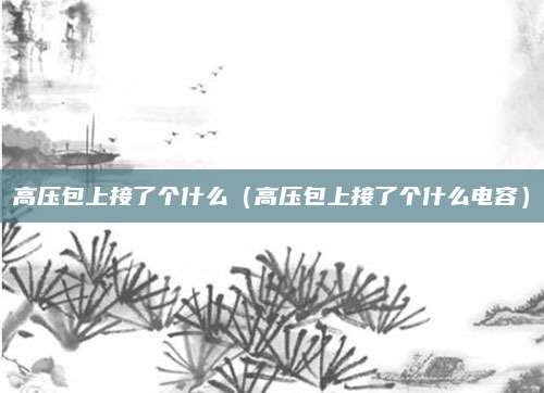 高压包上接了个什么(高压包上接了个什么电容)