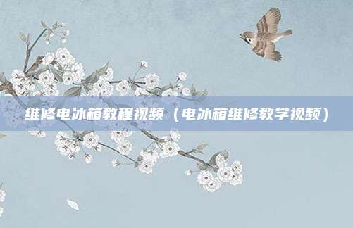 维修电冰箱教程视频（电冰箱维修教学视频）