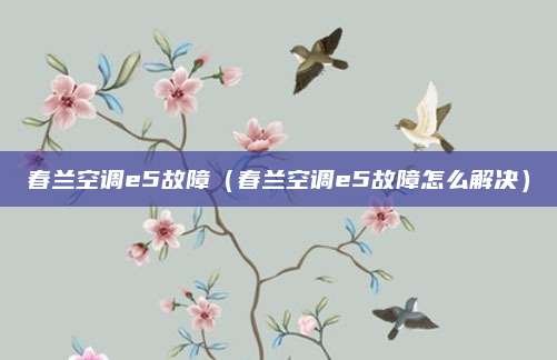 春兰空调e5故障（春兰空调e5故障怎么解决）