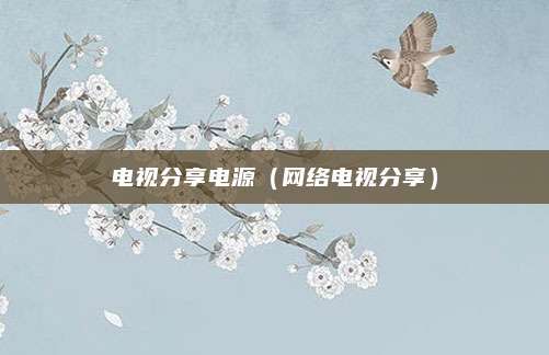 电视分享电源(网络电视分享)