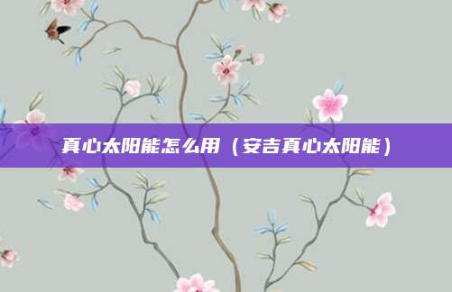 真心太阳能怎么用(安吉真心太阳能)
