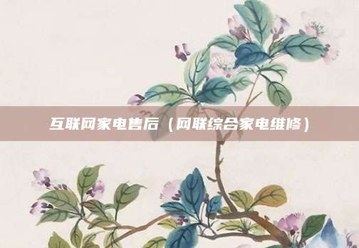 互联网家电售后（网联综合家电维修）